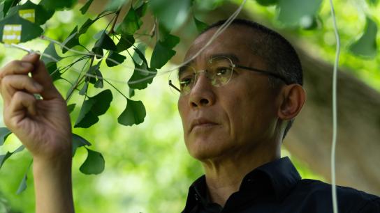 Silent Friend (2026) Image