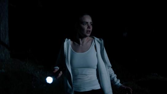 Red Riding (2026) Image