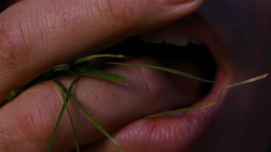 "Wuthering Heights" (2026) Image