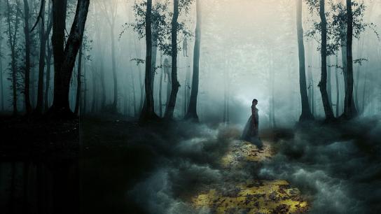 Gale: Yellow Brick Road (2026) Image