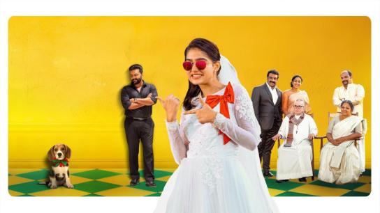 Mr and Mrs Bachelor (2025) Image