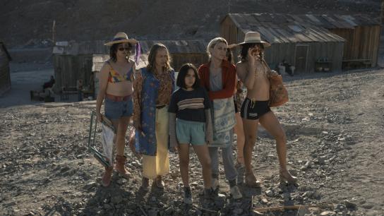 The Mysterious Gaze of the Flamingo (2025) Image