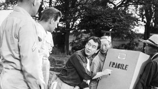 Joe Butterfly (1957) Image