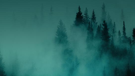 Hunting Matthew Nichols (2024) Image