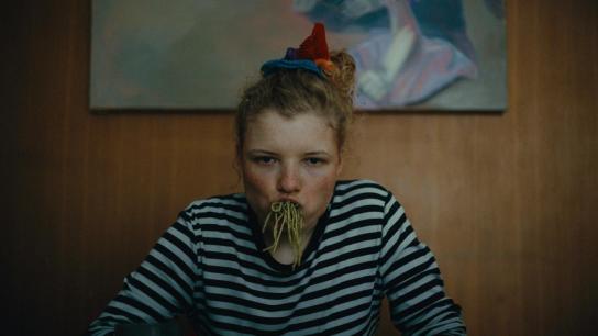 How to Be Normal and the Oddness of the Other World (2025) Image