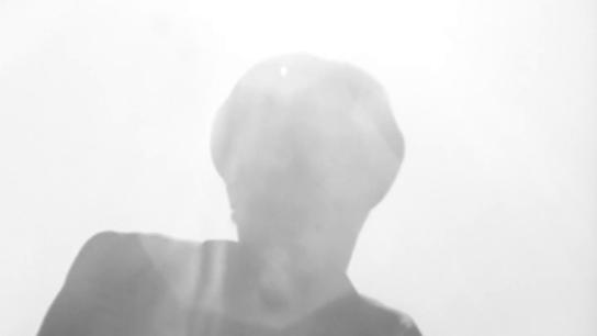 The Reversal of Richard Sun (1970) Image