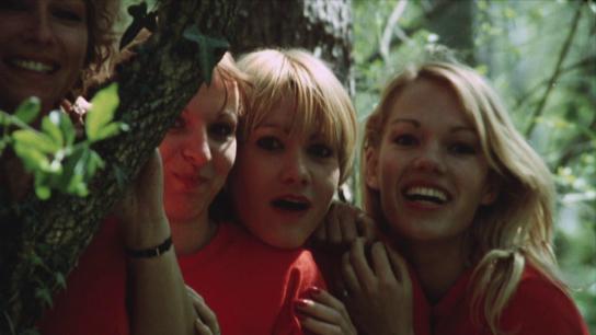 The Amorous Sisters (1980) Image