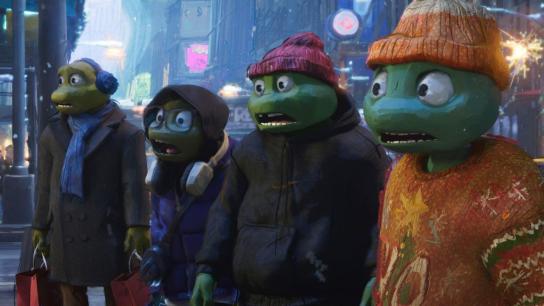 Teenage Mutant Ninja Turtles: Chrome Alone 2 - Lost in New Jersey (2025) Image