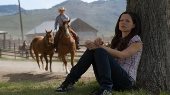 Flicka 2 (2010) Image