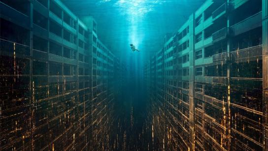 The Great Flood (2025) Image