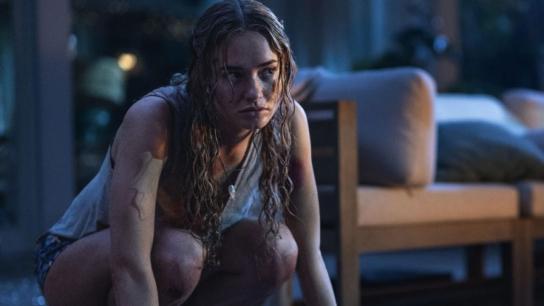 Primate (2026) Image