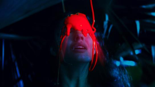 Meltdown: A Nuclear Family's Ascension into Madness (2026) Image