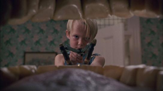 Dennis the Menace (1993) Image