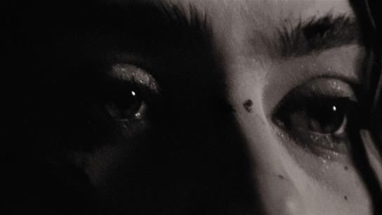 The Moment (2026) Image