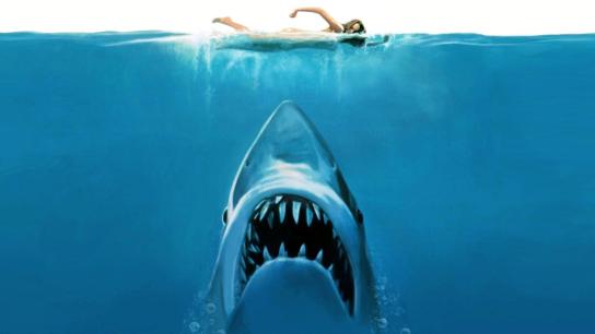 Jaws (1975) Image