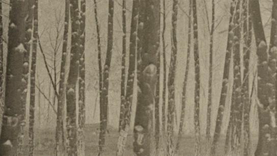 Film Dedicated to Water and Trees (2023) Image