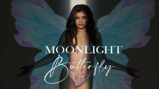 Moonlight Butterfly (2022) Image