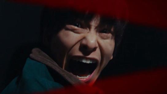 The Fire Raven (2025) Image