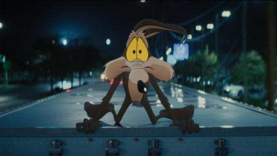 Coyote vs. Acme (2026) Image