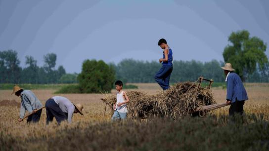 Living the Land (2025) Image