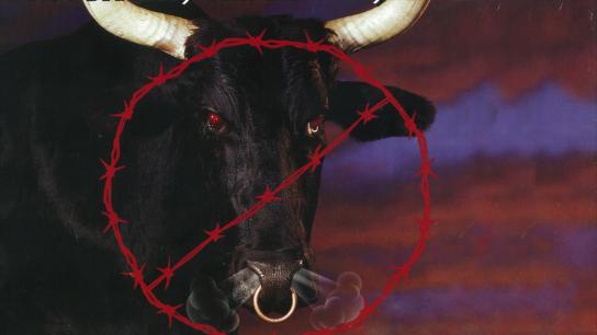 WCW Spring Stampede 1998 (1998) Image