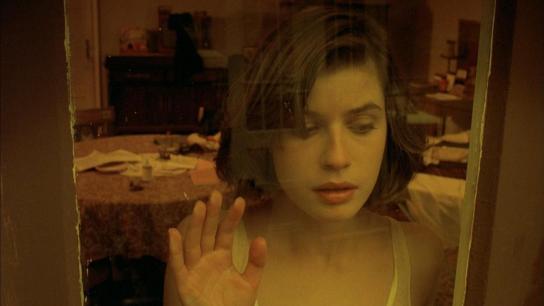 The Double Life of Véronique (1991) Image