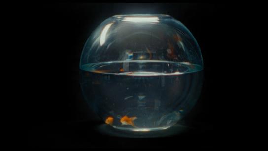 Zodiac Killer Project (2025) Image