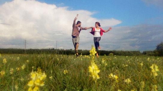 Chainsaws Were Singing (2024) Image