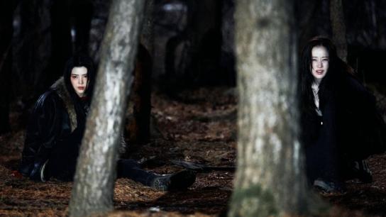 Project Y (2026) Image