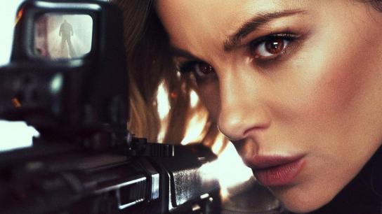 Wildcat (2025) Image