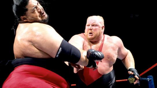 WWE Royal Rumble 1996 (1996) Image