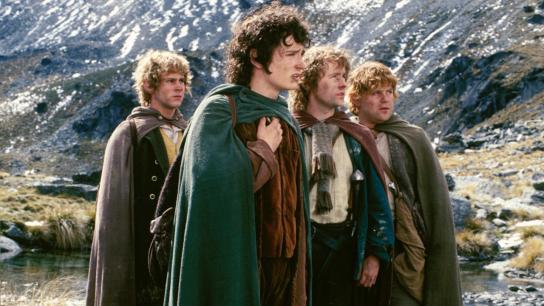 The Lord of the Rings: The Fellowship of the Ring (2001) Image