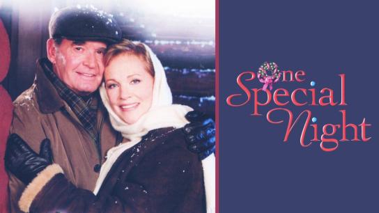 One Special Night (1999) Image