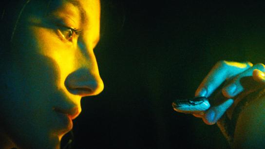 The Python Hunt (2026) Image