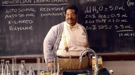 The Nutty Professor (1996) Image