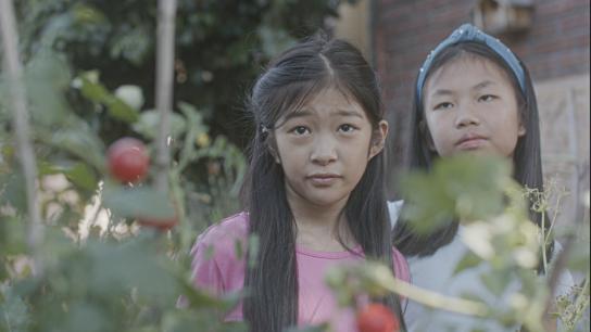 The Garden (2025) Image