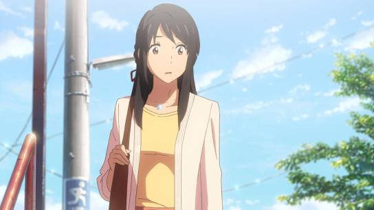 Your Name. (2016) Image