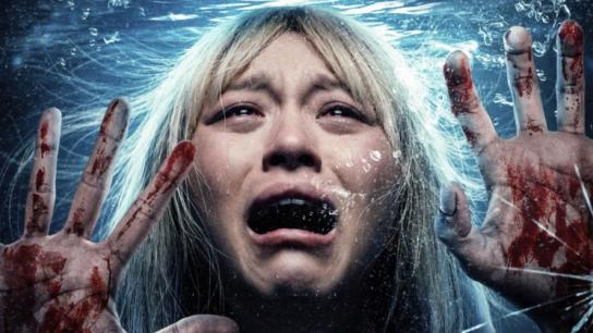 The Cure (2026) Image