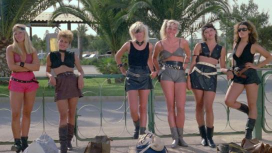 Panther Squad (1984) Image