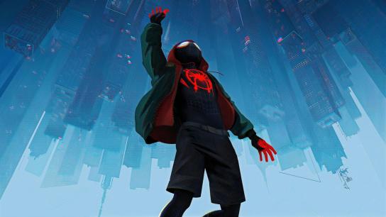 Spider-Man: Into the Spider-Verse (2018) Image