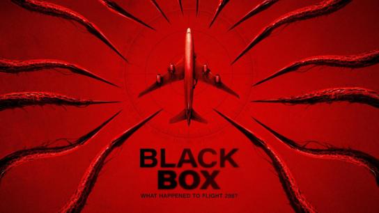 Black Box (Flight 298) (2026) Image