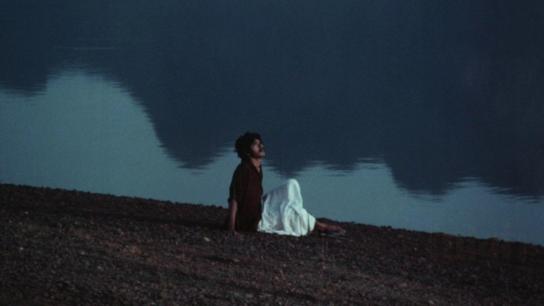 Twilight (1982) Image