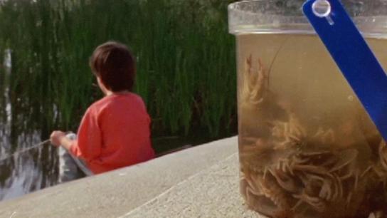 Remake (2026) Image