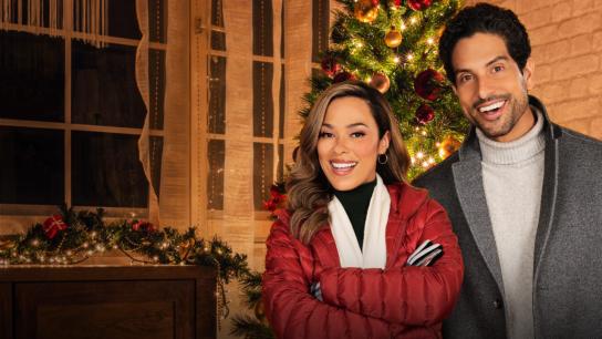 A Christmas Proposal (2021) Image