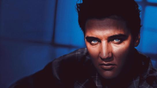 Elvis Presley: Shook Up (2025) Image