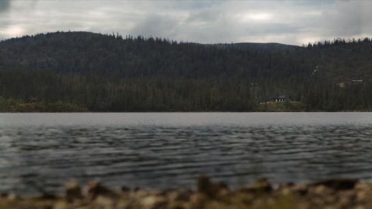 Lake Sunshine 1989 (2022) Image