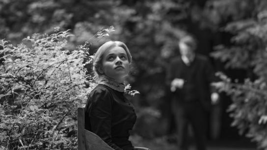 Silent Friend (2026) Image