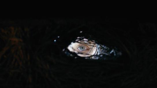 Shaman (2025) Image