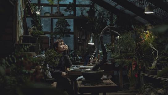 No Other Choice (2025) Image