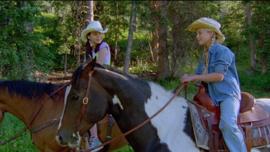 The Wild Stallion (2009) Image